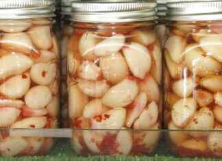 Cute Keepsake Mason Jars: A Popular Choice for Souvenirs cute-keepsake-mason-jars-a-popular-choice-for-souvenirs