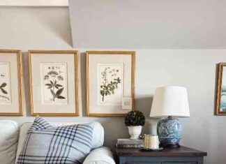 Transform Your Home with Stylish Lamps and Lights: Tips and Favorites for a Cozy Space transform-your-home-with-stylish-lamps-and-lights-tips-and-favorites-for-a-cozy-space