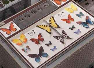 Colorful 35,000-Square-Foot Butterfly Mural Brightens Miami Skyline colorful-35000-square-foot-butterfly-mural-brightens-miami-skyline