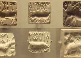 Decode Ancient Script: Official Offers $1M Reward decode-ancient-script-official-offers-1m-reward