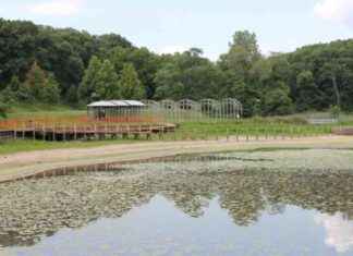 Des Moines Art Center Settles $900K with Mary Miss Over Land Art des-moines-art-center-settles-900k-with-mary-miss-over-land-art