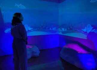 Fall 2024 Grantees Announced by Warhol Foundation fall-2024-grantees-announced-by-warhol-foundation