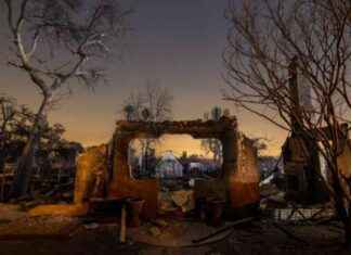 Rebuilding After Tragedy: Gary Indiana’s Personal Library Lost in LA Wildfires rebuilding-after-tragedy-gary-ndianas-personal-library-lost-in-la-wildfires