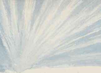 The Importance of Forests and Trees in Environmental Conservation and Biodiversity Preservation the-mportance-of-forests-and-trees-in-environmental-conservation-and-biodiversity-preservation