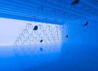 Trellis Art Fund Introduces $20,000 Stepping Stone Grants trellis-art-fund-ntroduces-20000-stepping-stone-grants