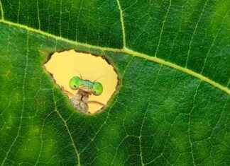 2024 Nature inFocus Photography Competition Winners Spotlight 2024-nature-infocus-photography-competition-winners-spotlight