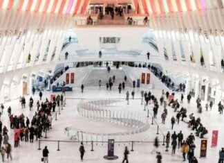 Celebratory 150-Ft Serpentine Sculpture Marks Year of the Snake celebratory-150-ft-serpentine-sculpture-marks-year-of-the-snake