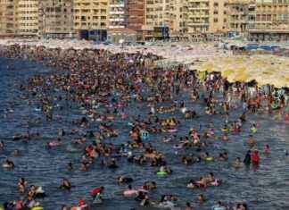 Discover Alexandria: Egypt’s Dynamic City Guide discover-alexandria-egypts-dynamic-city-guide