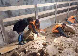 Discovery of 200 Iron Age Tombs by Italian Archaeologists discovery-of-200-ron-age-tombs-by-talian-archaeologists