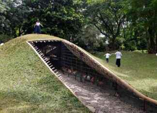 Hidden Stylish Chicken Coop in Park Hill hidden-stylish-chicken-coop-in-park-hill