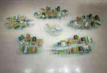 Reframing Climate Doom: Artists’ Impact on Environmental Awareness reframing-climate-doom-artists-mpact-on-environmental-awareness