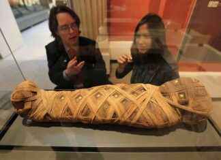 Researchers Discover Woody and Sweet Smell of Ancient Mummies researchers-discover-woody-and-sweet-smell-of-ancient-mummies