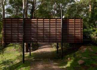 Sawmill Treehouse in Australia: Robbie Walker’s Steel Covering sawmill-treehouse-in-australia-robbie-walkers-steel-covering