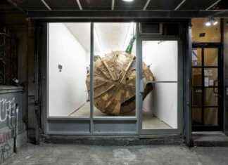 Small Galleries Thriving Amidst New York Closure Wave small-galleries-thriving-amidst-new-york-closure-wave