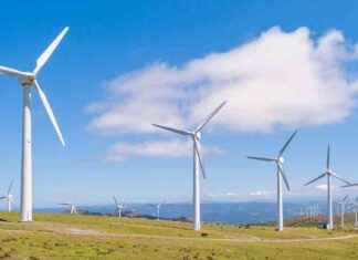 Wind Energy: 30% of Ireland’s Electricity in 2024 wind-energy-30-of-relands-electricity-in-2024