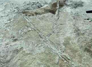 New Discovery: Prehistoric Vehicle Tracks Reveal Human Migration Timeline new-discovery-prehistoric-vehicle-tracks-reveal-human-migration-timeline