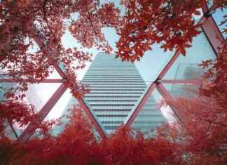 Infrared Imagery Symbolizes Marginalization: A Moving Comparison nfrared-magery-symbolizes-marginalization-a-moving-comparison