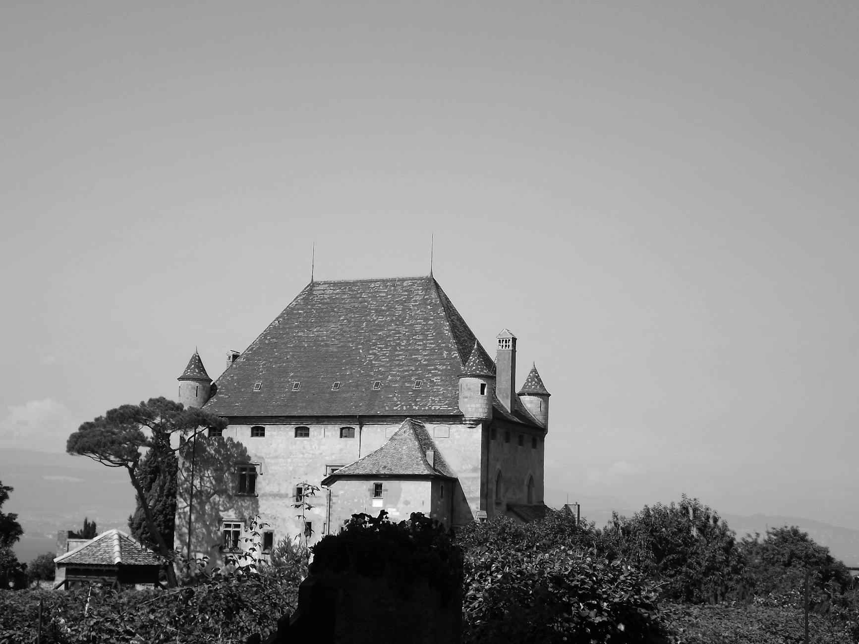 Final Thoughts on 60th Birthday Decorations