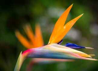 Black Basketball Jersey 3D Graphic Art: Bold Designs Unveiled Black Basketball Jersey 3D Graphic Art: Bold Designs Unveiled