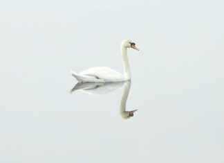 Cake Decorating Class Near Me: Sweeten Your Skills Today Cake Decorating Class Near Me: Sweeten Your Skills Today