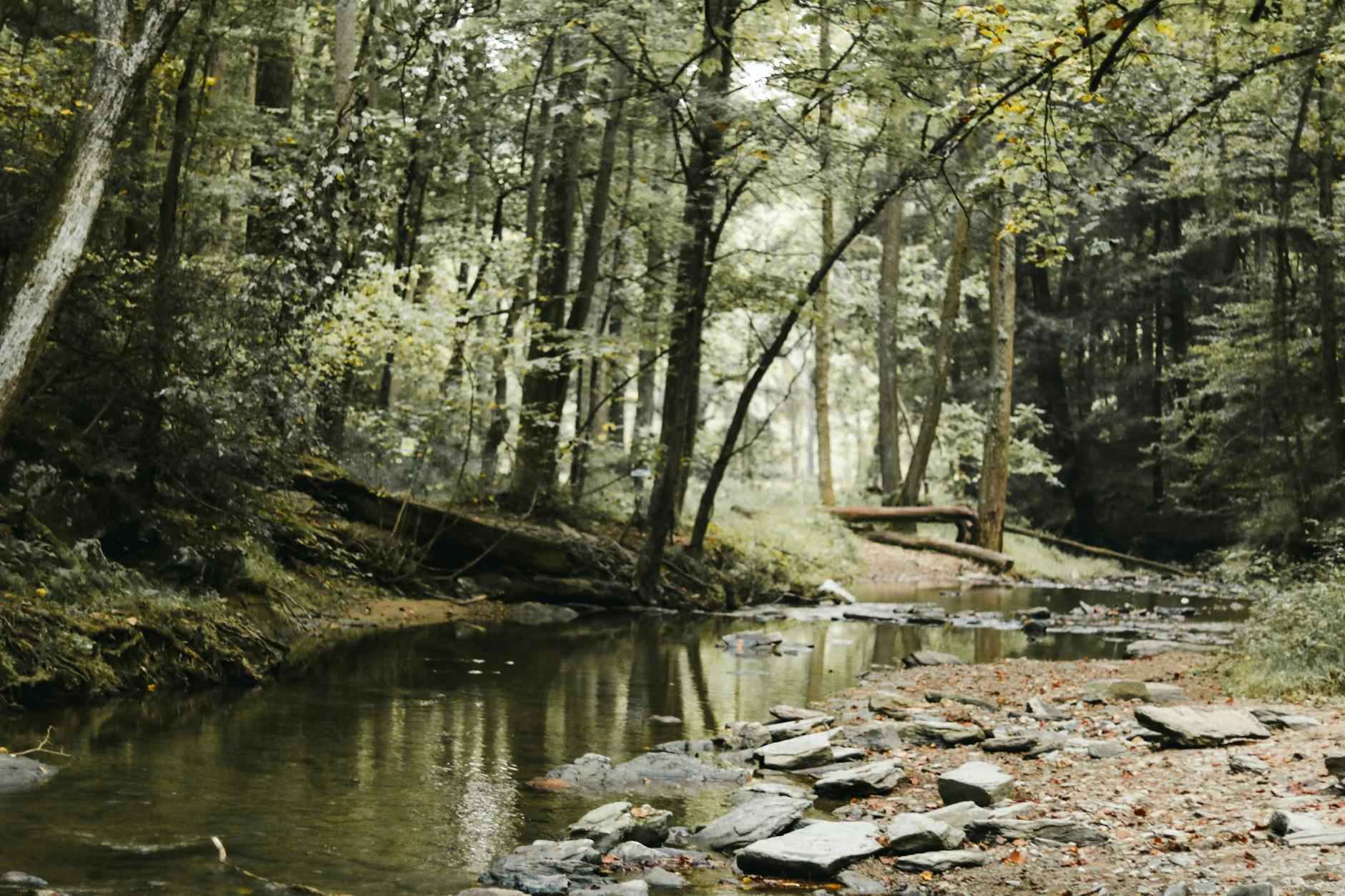 Conclusion: Why This Performance Matters