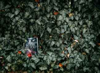 Commercial Success In The Performing Arts: Secrets Revealed Commercial Success In The Performing Arts: Secrets Revealed