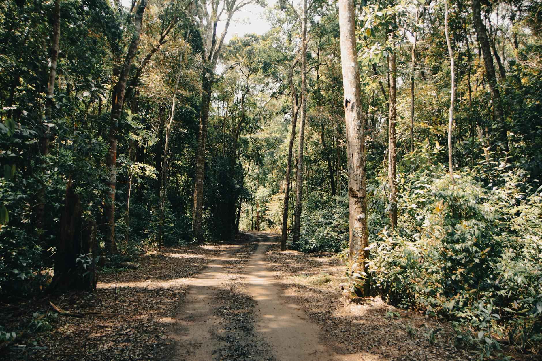 Incorporating Natural Elements