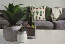 Farmhouse Bedroom Decorating Ideas: Cozy Rustic Dreams Farmhouse Bedroom Decorating Ideas: Cozy Rustic Dreams