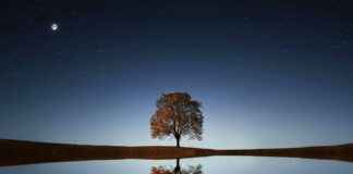 Floor And Decor Backsplash: Stunning Kitchen Upgrades Floor And Decor Backsplash: Stunning Kitchen Upgrades