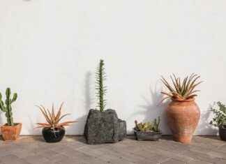 Home Depot Outdoor Christmas Decorations: Brighten Your Yard Home Depot Outdoor Christmas Decorations: Brighten Your Yard