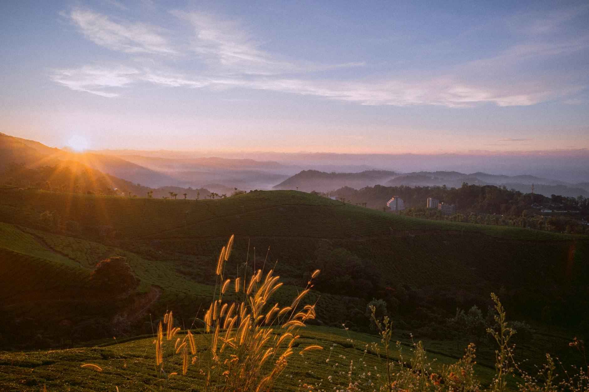 DIY Outdoor Decorations