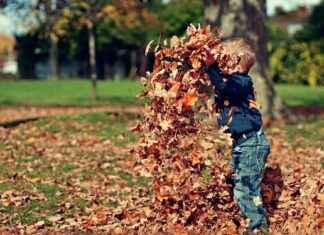 Mahalia Jackson Theater For The Performing Arts: Must-See Shows Mahalia Jackson Theater For The Performing Arts: Must-See Shows