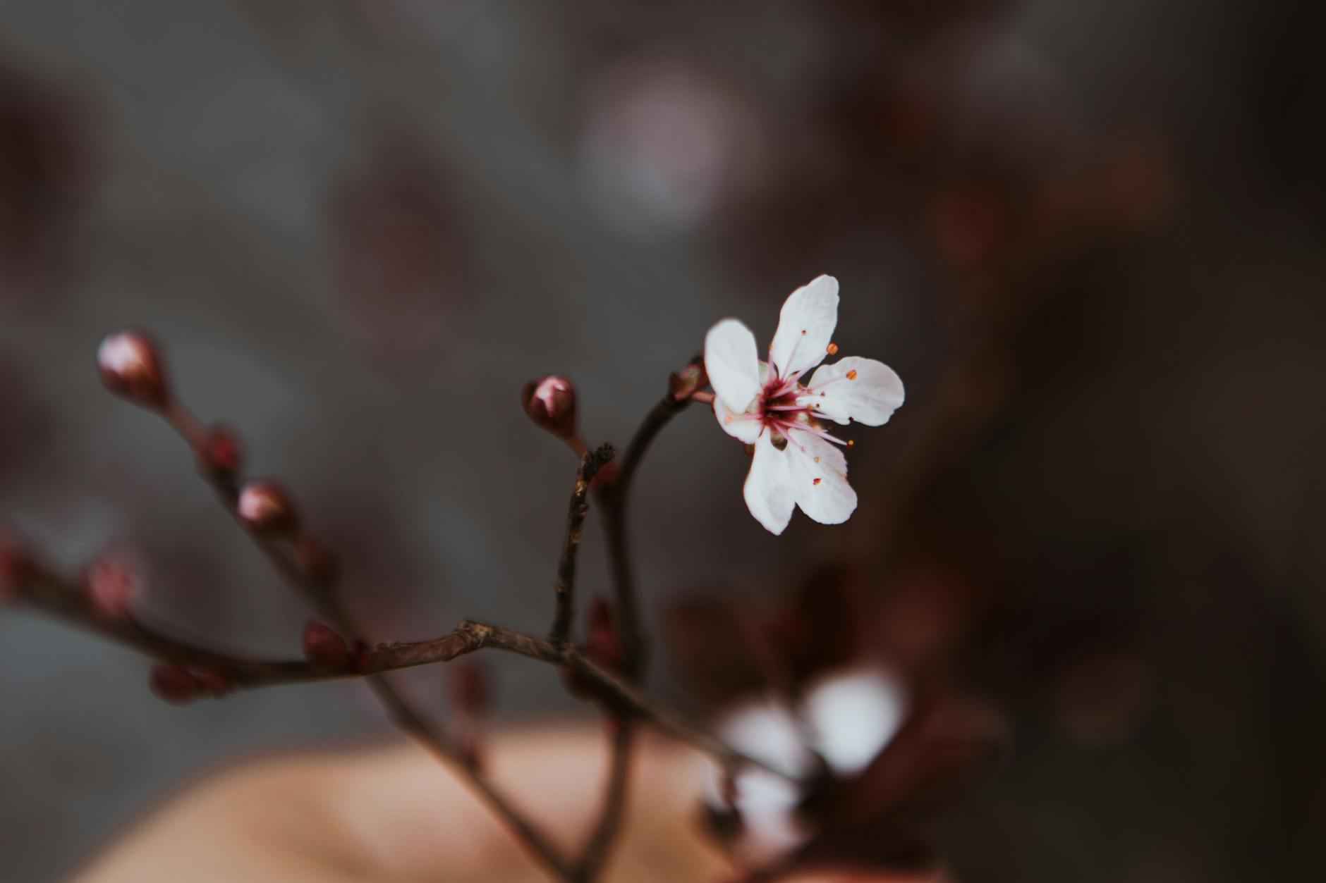 Benefits of Metal Wall Art