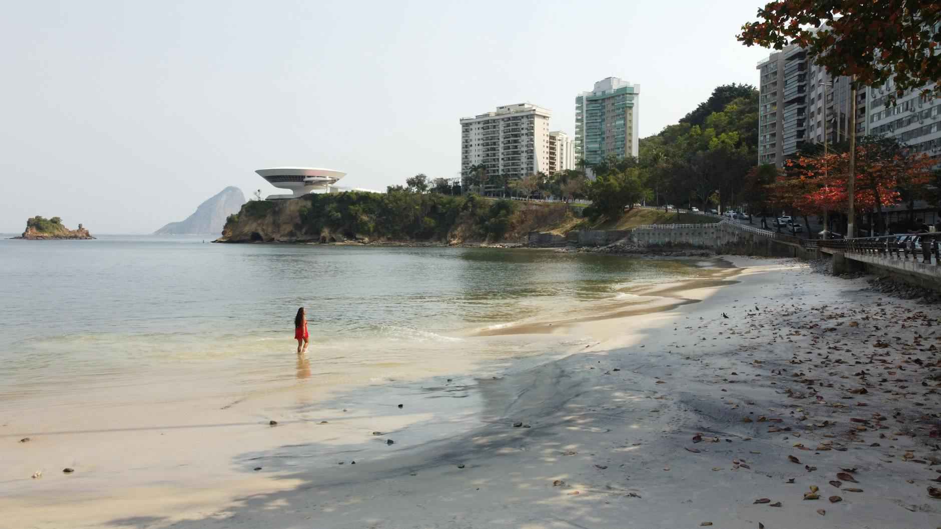 History of the Museum