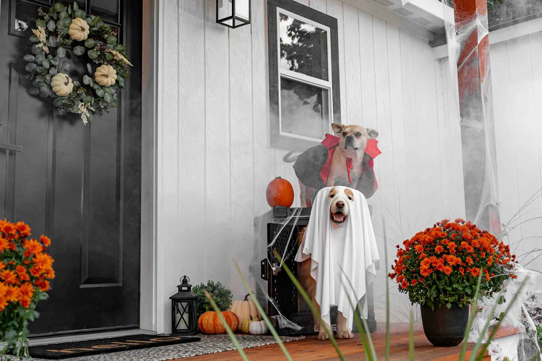 Nightmare Before Christmas Decorations: Spooky Chic Ideas 2 Colors that Pop