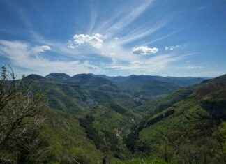 Outdoor Christmas Decorations Clearance: Save Big Now Outdoor Christmas Decorations Clearance: Save Big Now