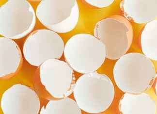 Peel And Stick Wall Decor: Easy Transformations Await Peel And Stick Wall Decor: Easy Transformations Await