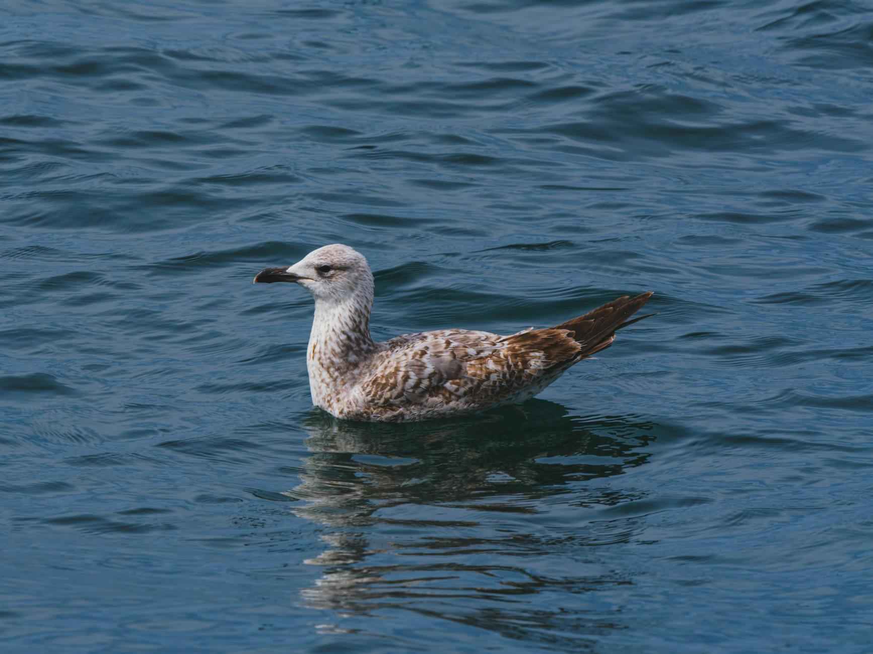 Pikes Peak Center For The Performing Arts: Exciting Shows 4 Community Involvement