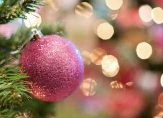 Pink Christmas Tree Decorations: Pretty And Playful Ideas Pink Christmas Tree Decorations: Pretty And Playful Ideas