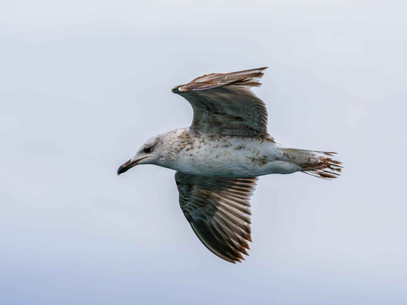 Party Favors to Remember