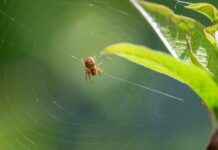 The Art And Making Of Arcane: Behind The Scenes Magic The Art And Making Of Arcane: Behind The Scenes Magic