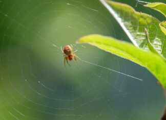 The Art And Making Of Arcane: Behind The Scenes Magic The Art And Making Of Arcane: Behind The Scenes Magic