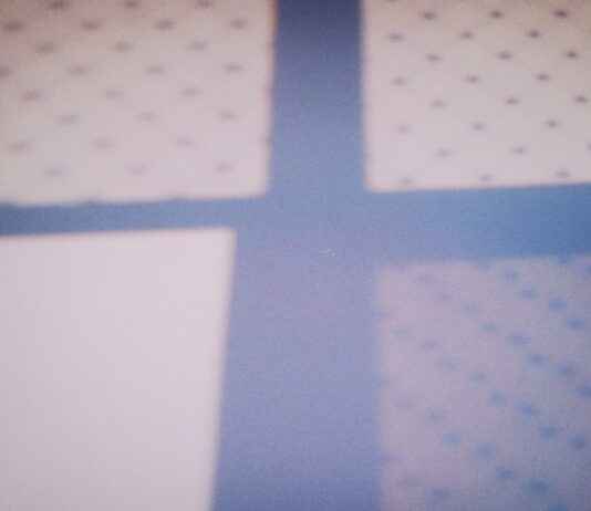 The Art Of Racing In The Rain Book: Heartfelt Journey The Art Of Racing In The Rain Book: Heartfelt Journey