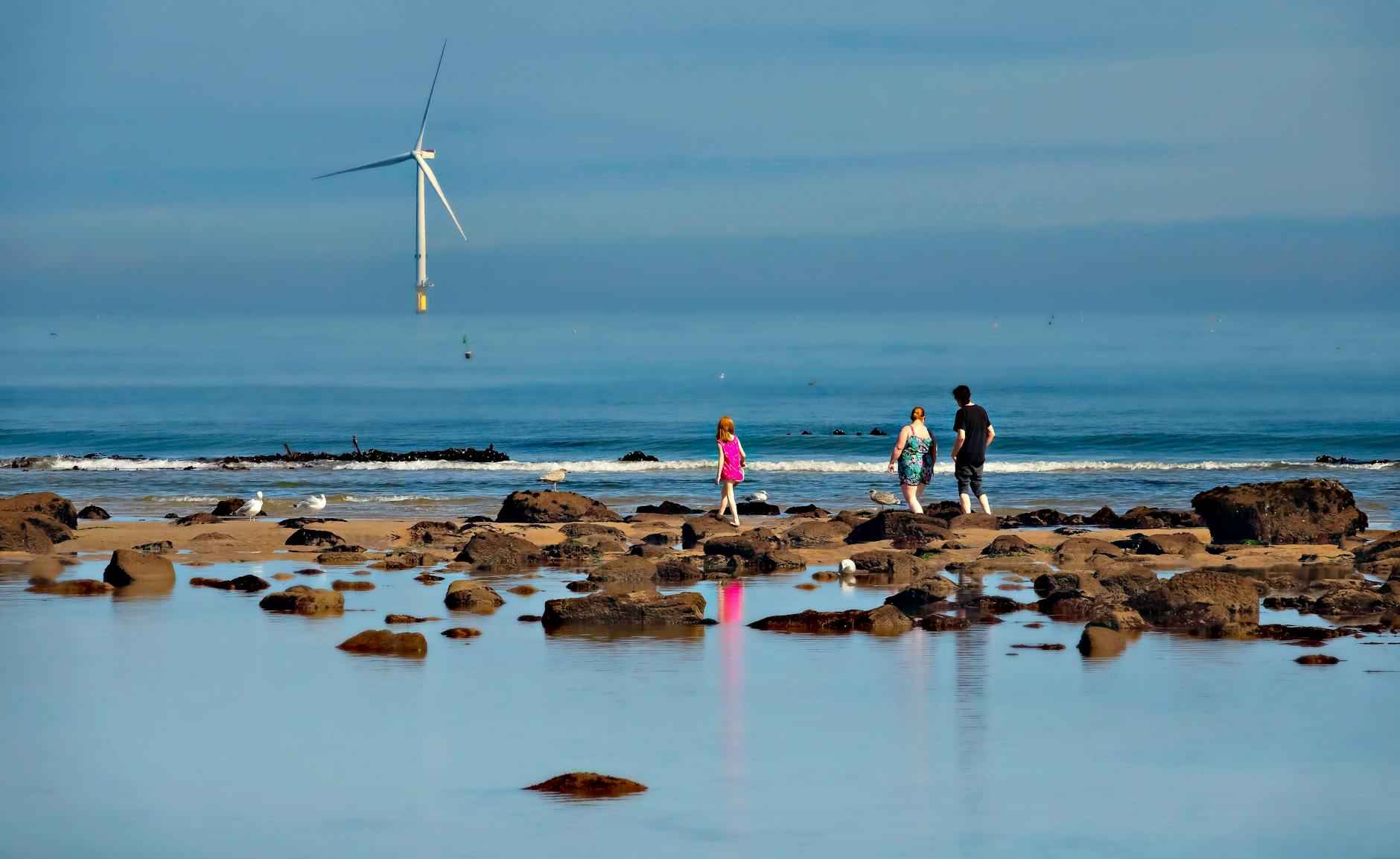 Upcoming Performances