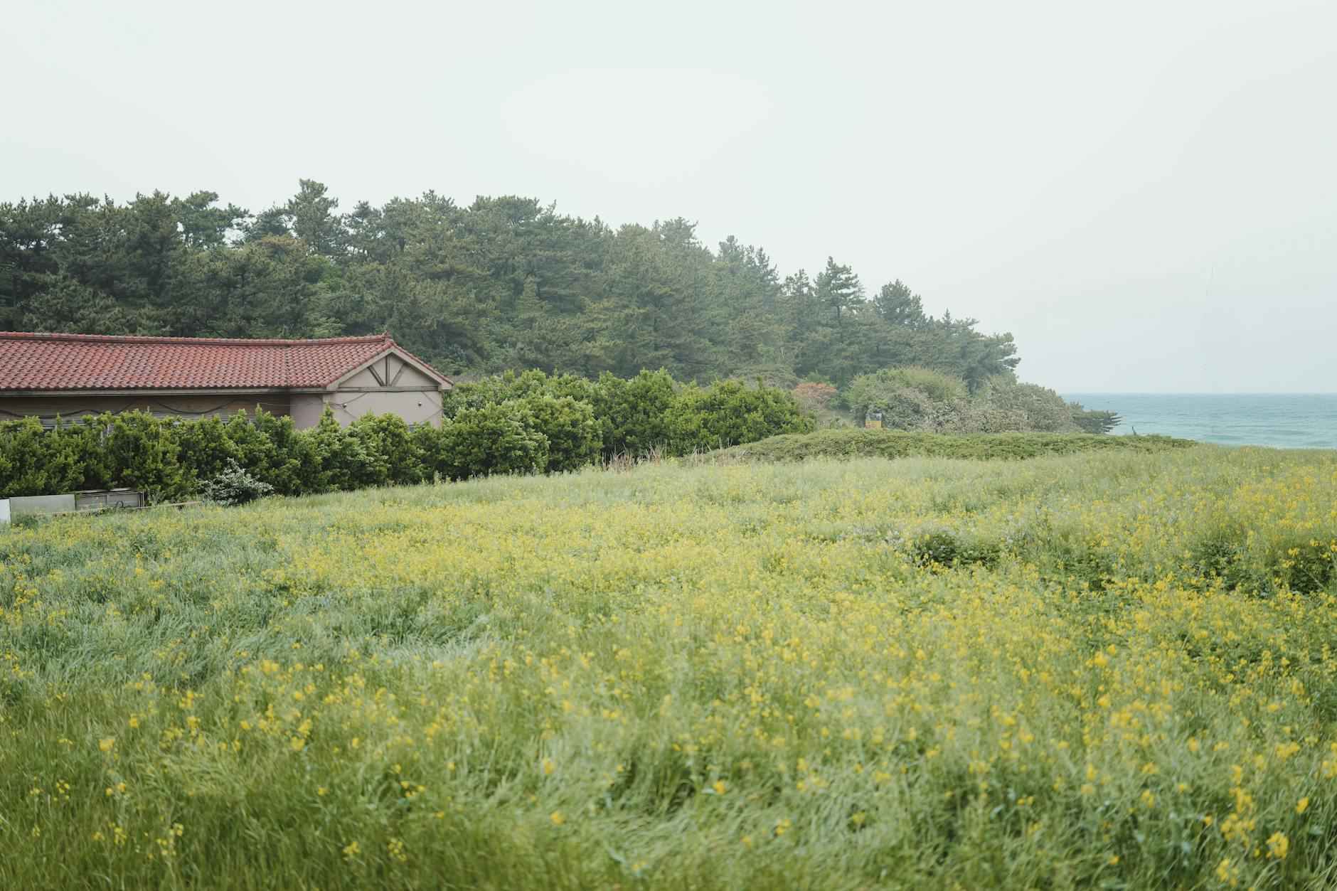 What is The Wallis Annenberg Center?