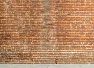 Artist Directory Arcy Art: Discover Unique Talent and Inspiration Where to Hang Wood Wall Art