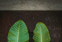 Wood Wall Art Decor: Transform Your Space With Stunning Designs