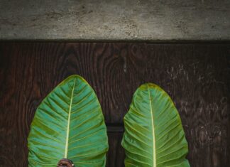 Wood Wall Art Decor: Transform Your Space With Stunning Designs