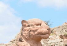 Art of Animation Resort Map: Uncover Hidden Gems and Tips