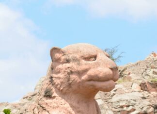 Black And White Abstract Art: Discover Bold Creativity Today